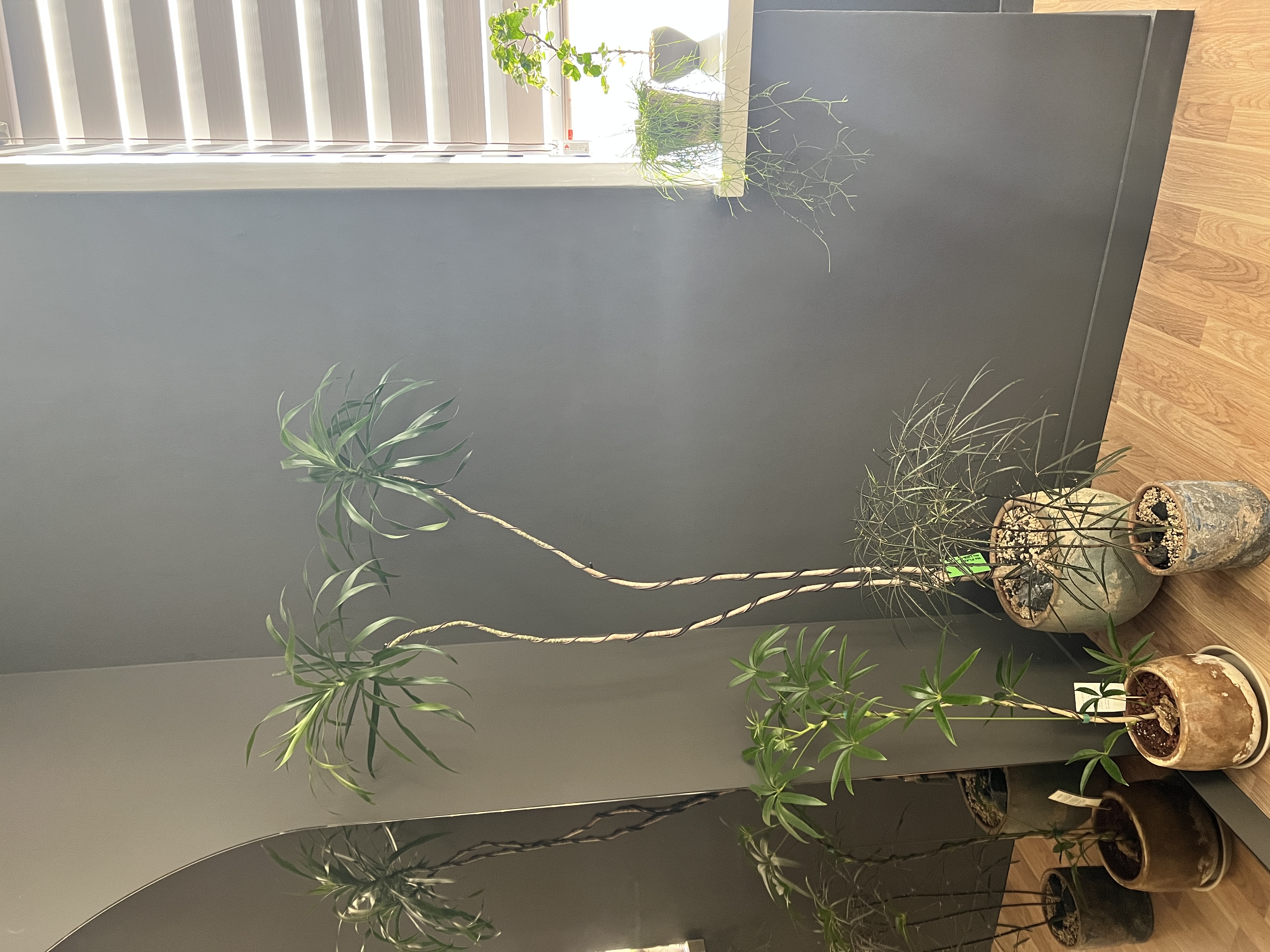 바디앤솔 필라테스 강사진